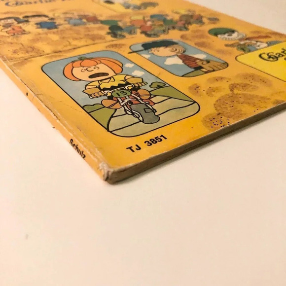 Vintage 1976 Youre A Good Sport Charlie Brown Special Charles M  Schulz - Picture 5 of 16